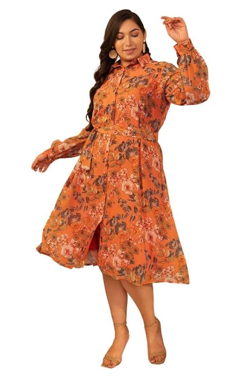 Tired of boring clothes for plus size? This floral A-line dress brings a refreshing change.